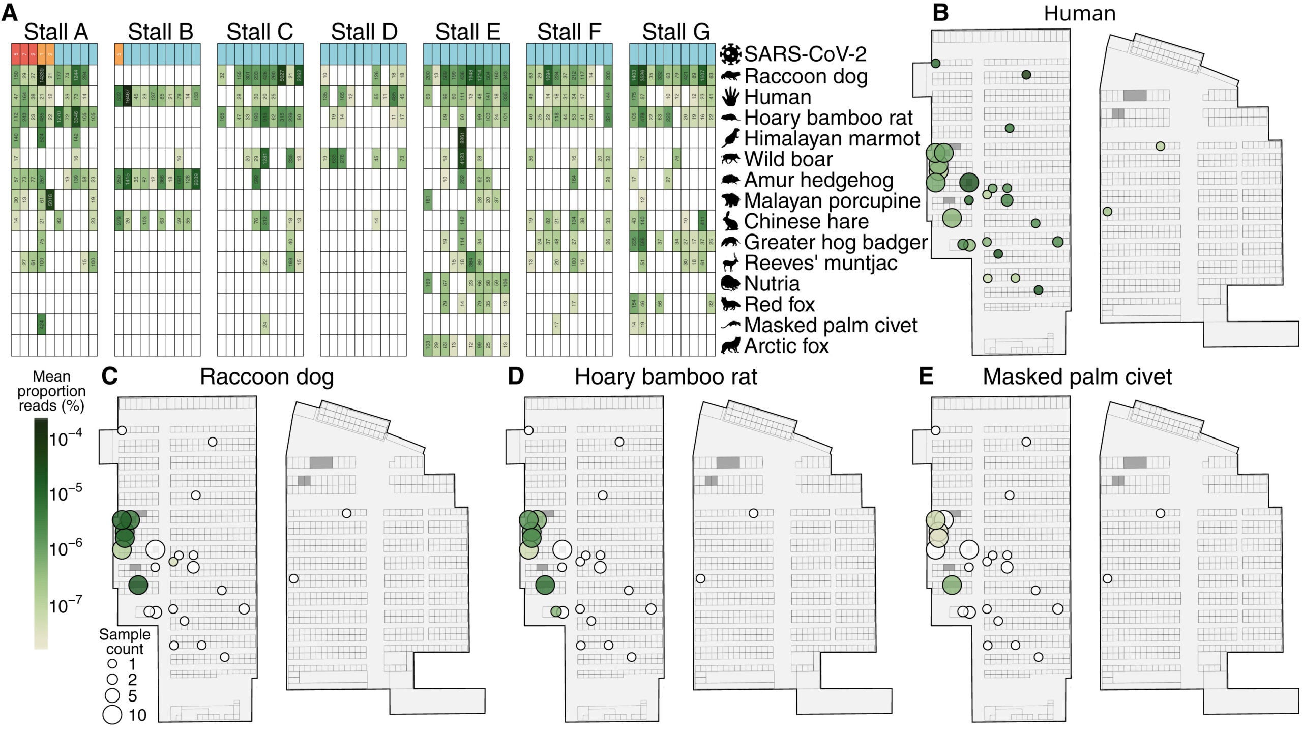 The spatial distribution of animal DNA/RNA in the Huanan market
