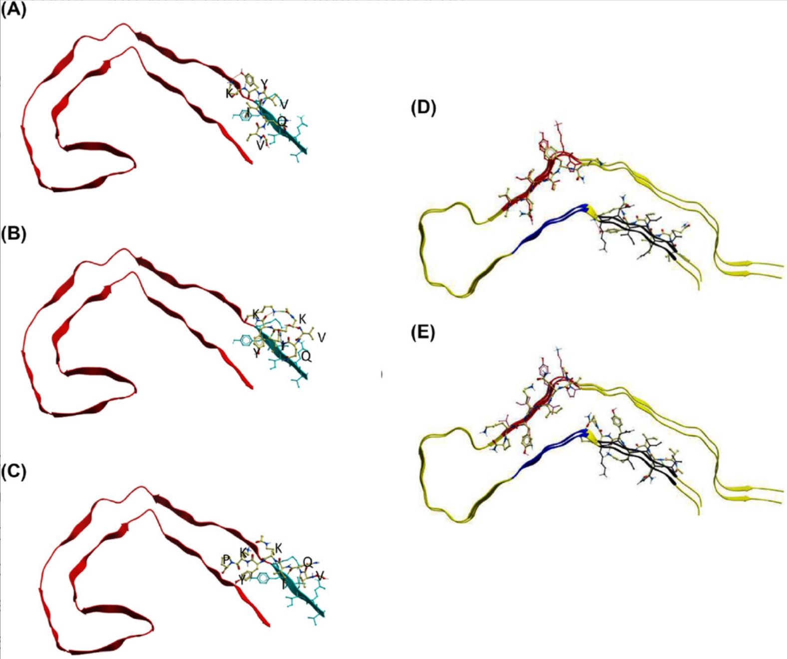 Experimental peptides docked in parallel to the superior portion of PDB 5o3l 2N4R PHF (A–C) demonstrate preferential binding to VQIVYK.