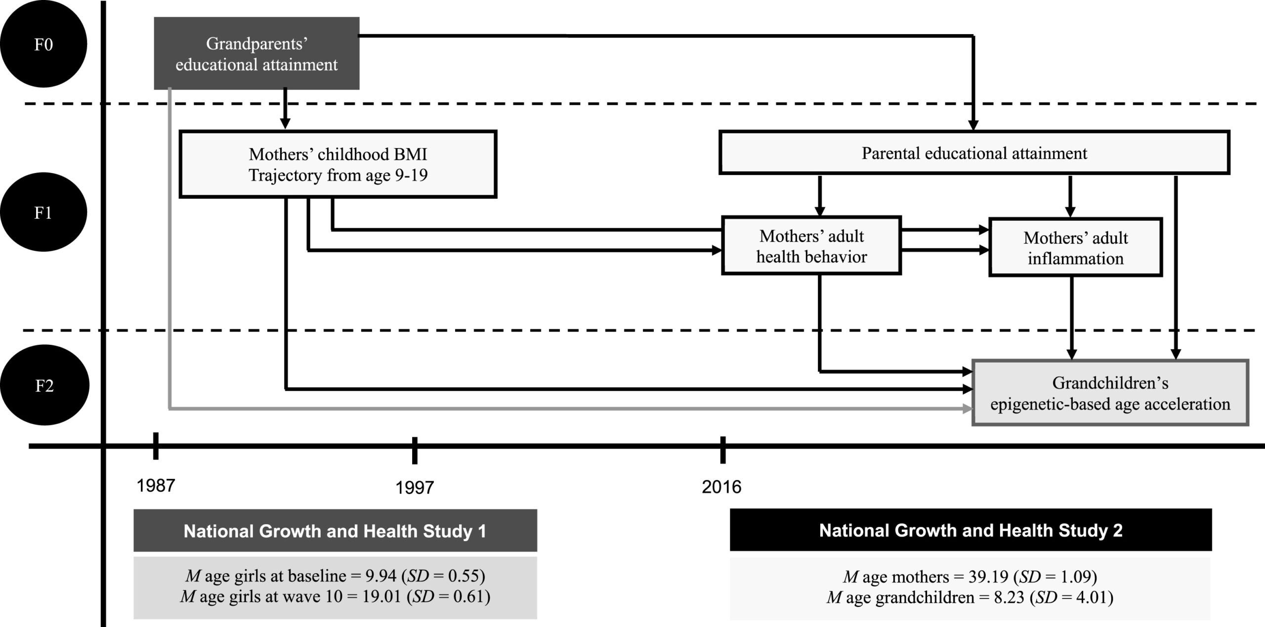 Variables included in the current analysis came from the NHLBI Growth and Health study (1987–1997) and the follow-up National Growth and Health Study (NGHS). 