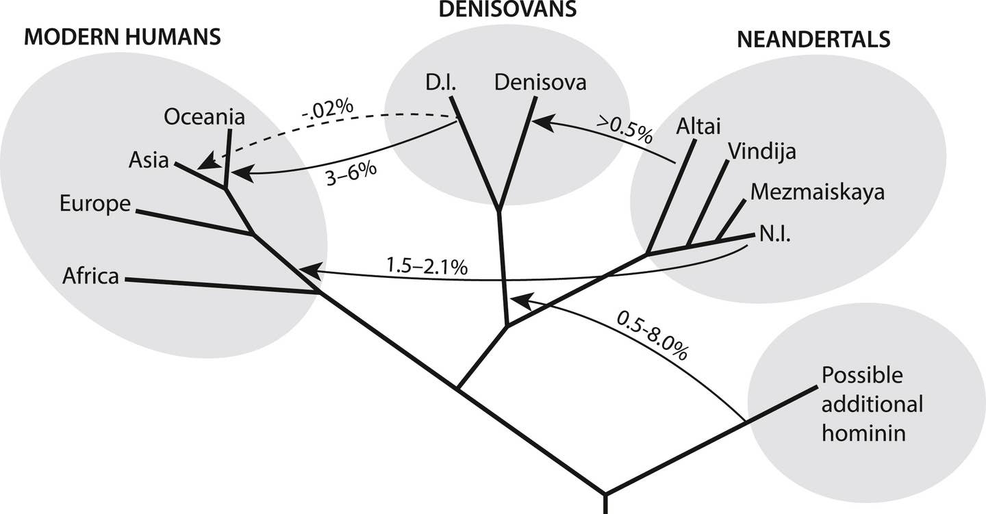 Schematic representation of gene flow among archaic humans and between archaic and recent modern humans. Schematic representation of gene flow among archaic humans and between archaic and recent modern humans.