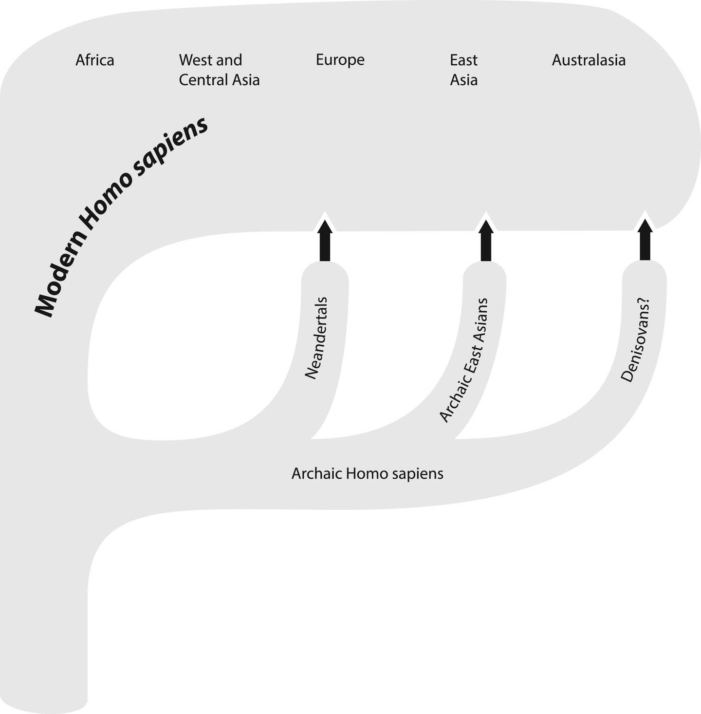 Schematic diagram of the Assimilation Model. Schematic diagram of the Assimilation Model.