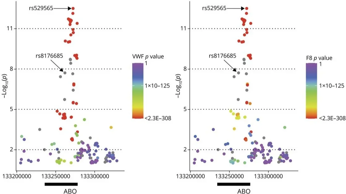 Association plots showing SNPs associated with EOS at the ABO locus (±50 kb) and plasma levels of factor VIII. EOS = early-onset stroke; LOS = late-onset stroke; SNP = single-nucleotide polymorphism; VWF = von Willebrand factor.