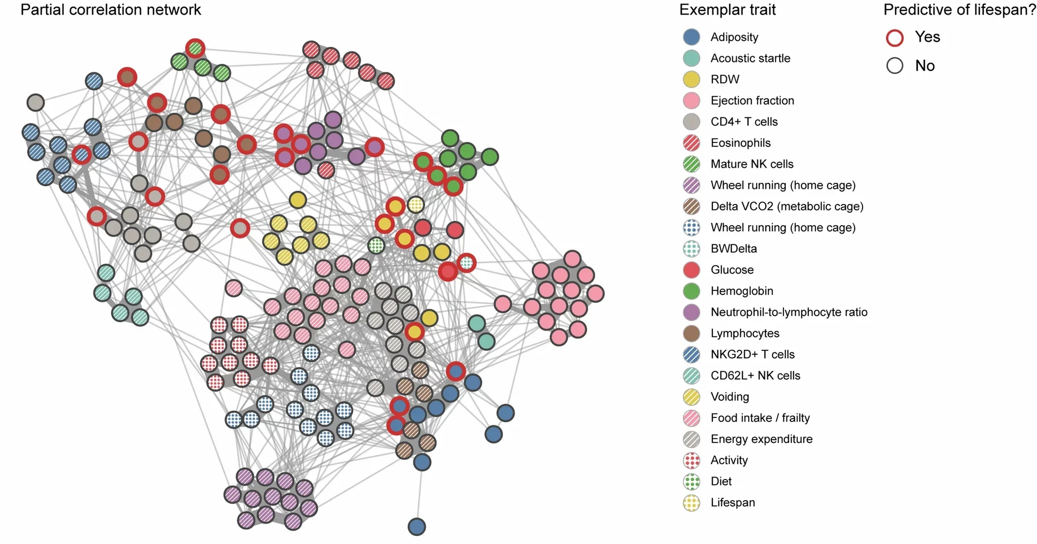Partial correlation network of 194 traits assayed between 10 and 16 months of age. Trait clusters indicated by colour. Points represent individual traits and red outline indicates traits that are significantly associated with lifespan.
