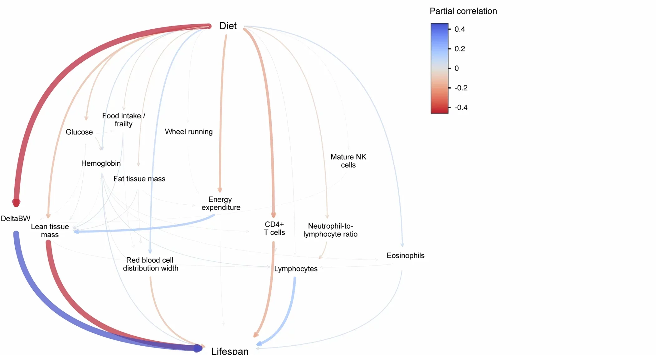 Waterfall plot shows the top scoring paths from Diet to Lifespan in the reduced (21 trait) partial correlation network. Size of the arrow is proportional to absolute partial correlation and colour indicates the sign of the partial correlation (colour scale)