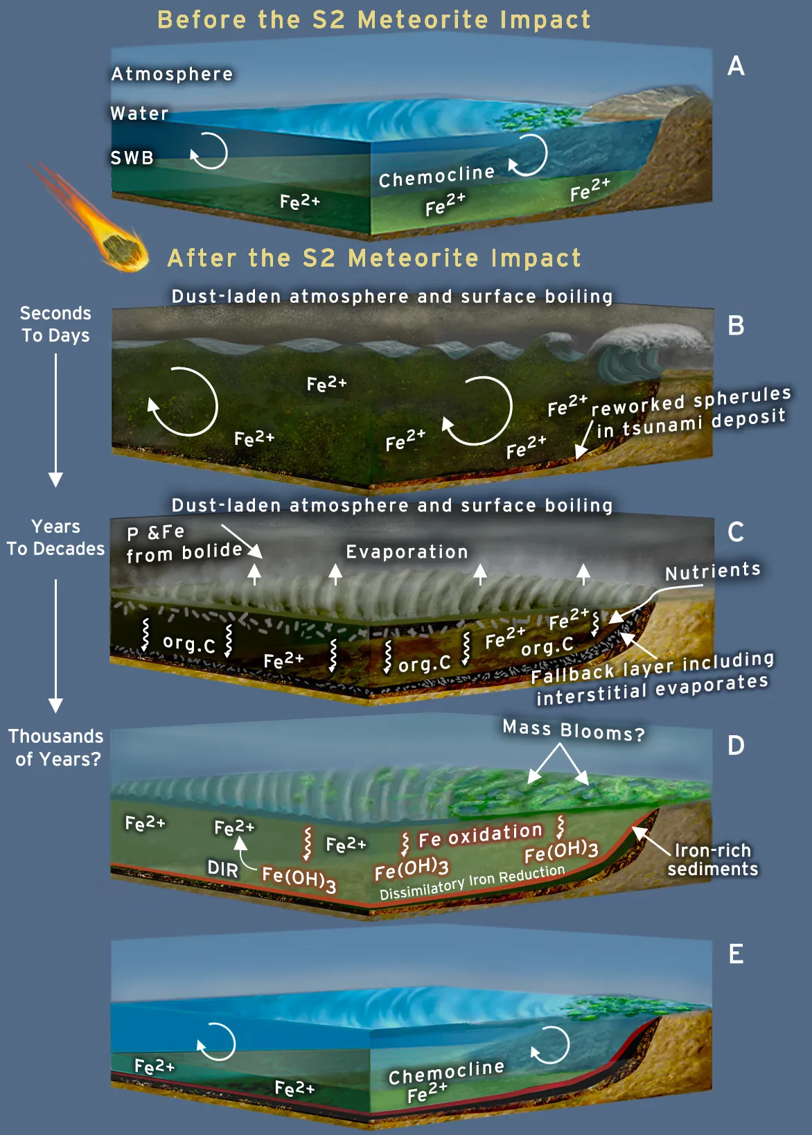 Schematic representation of possible effects of the impact on environments and life.