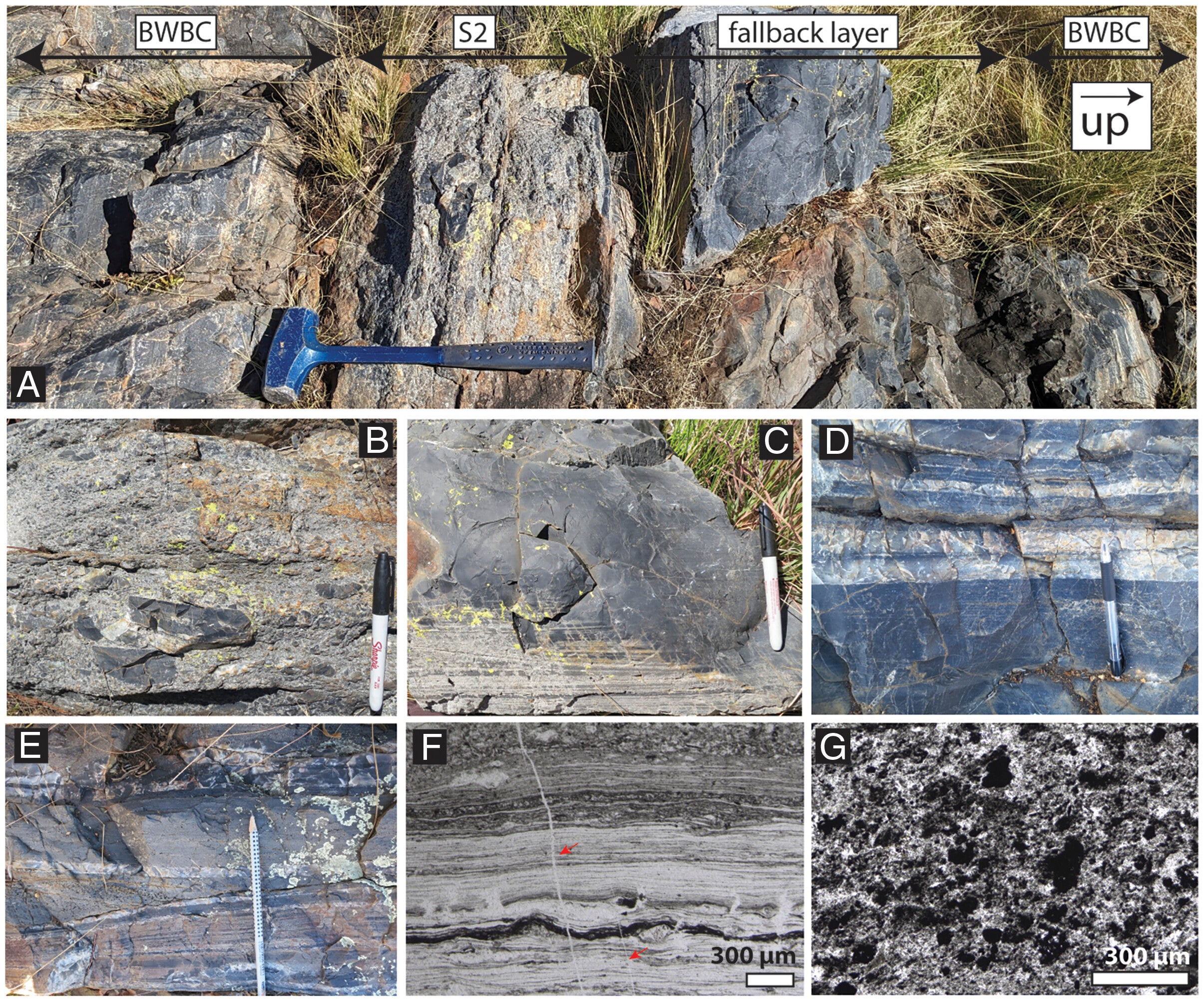 Rock and thin section images of the Bruce’s Hill and Umbaumba sections.