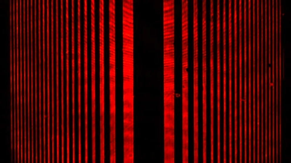 The famous double-slit experiment, which showed that light can behave both as a wave and as a particle. 