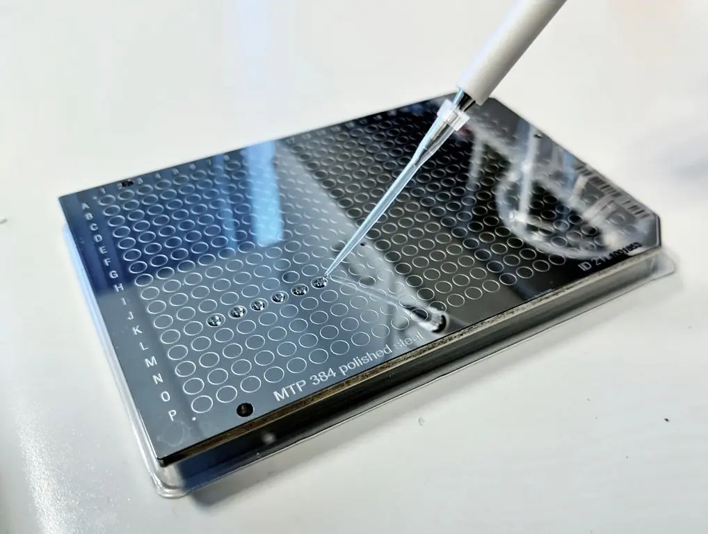 The preparation of a sample plate for ZooMS analysis. The tiny droplets being deposited using the pipette contain small amounts of ground up collagen that will be analyzed on a mass spectrometer. 