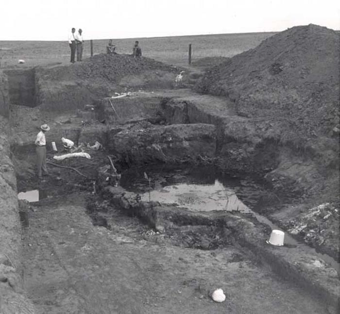 1961 excavation at Lamb Spring, showing Ed Lewis (standing on left) and Waldo Wedel, along with two fieldmen. Glenn Scott can be seen in the excavation pit alongside some mammoth bones wrapped in plaster jackets for preservation.