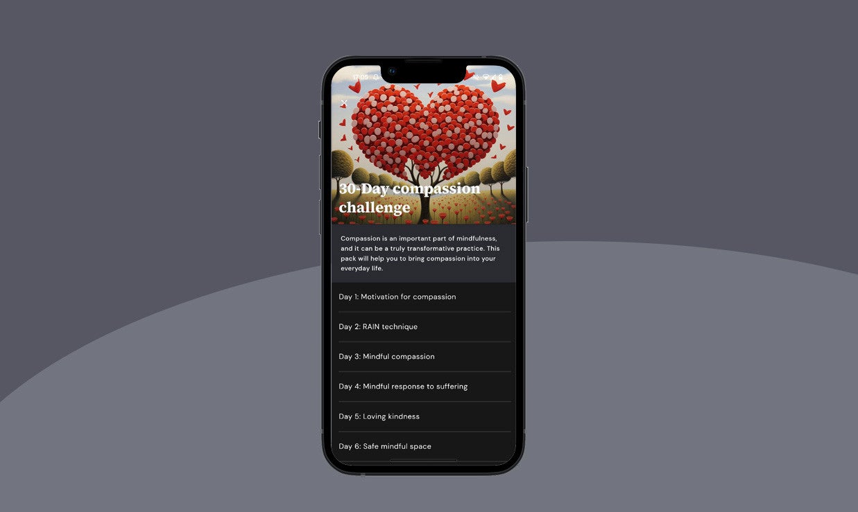 One group engaged in a month-long daily mindfulness routine through the free mobile app