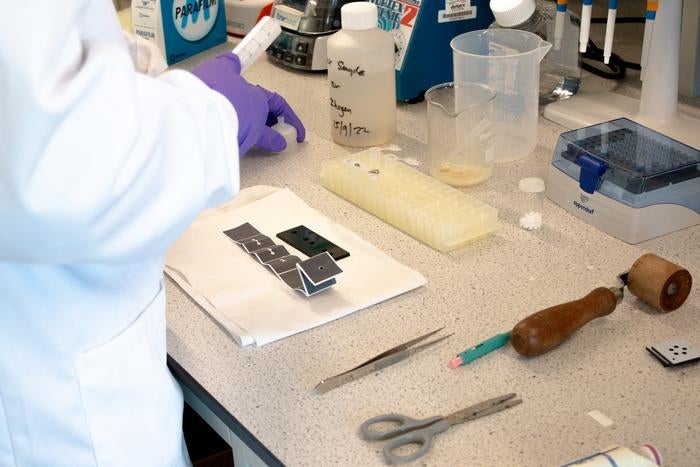 The materials used in Professor Zhugen Yang's new method of identifying biomarkers sit on a laboratory work surface at Cranfield University, UK