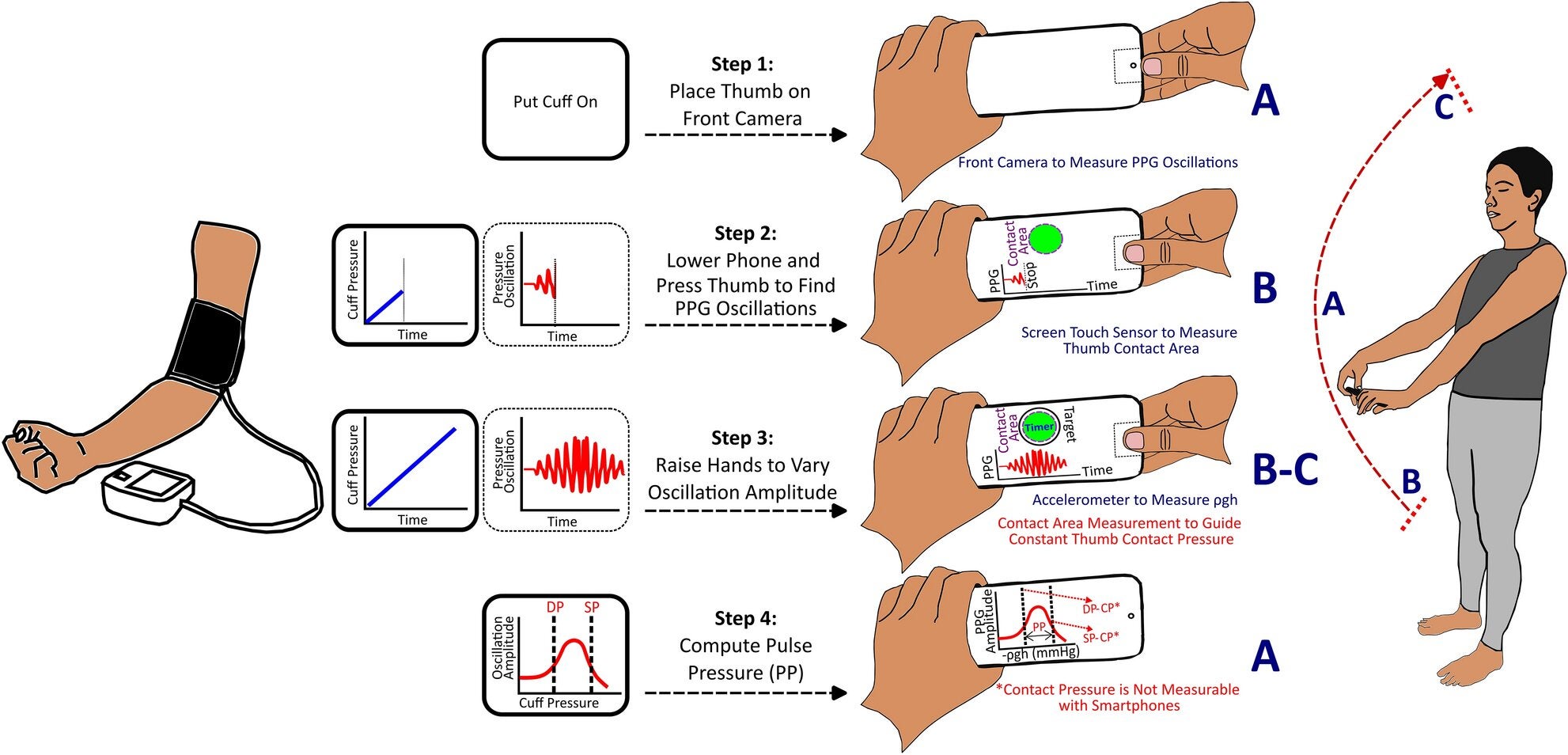 Smartphone pulse pressure (PP) concept in relation to the analogous steps of automatic cuff blood pressure (BP) measurement. 