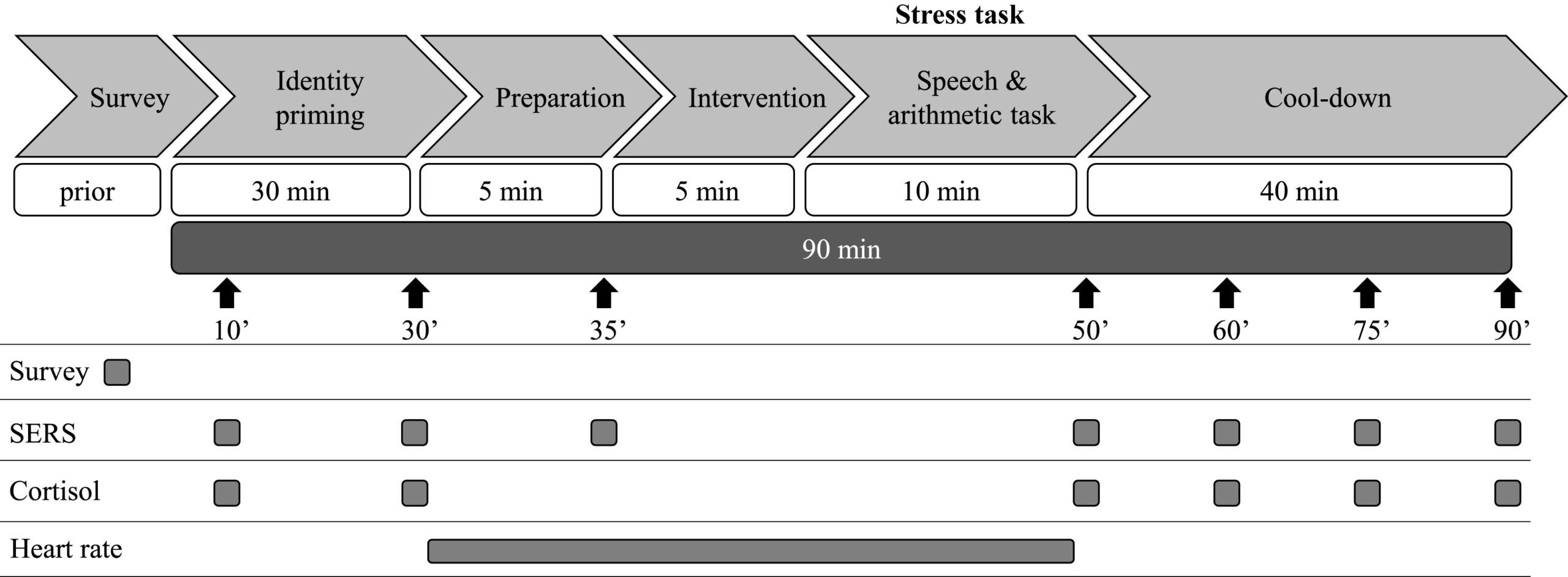 Study procedure and measurement timings.