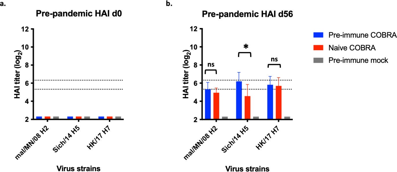 Octavalent COBRA vaccination elicits HAI antibody titers for pre-pandemic viruses in ferrets.