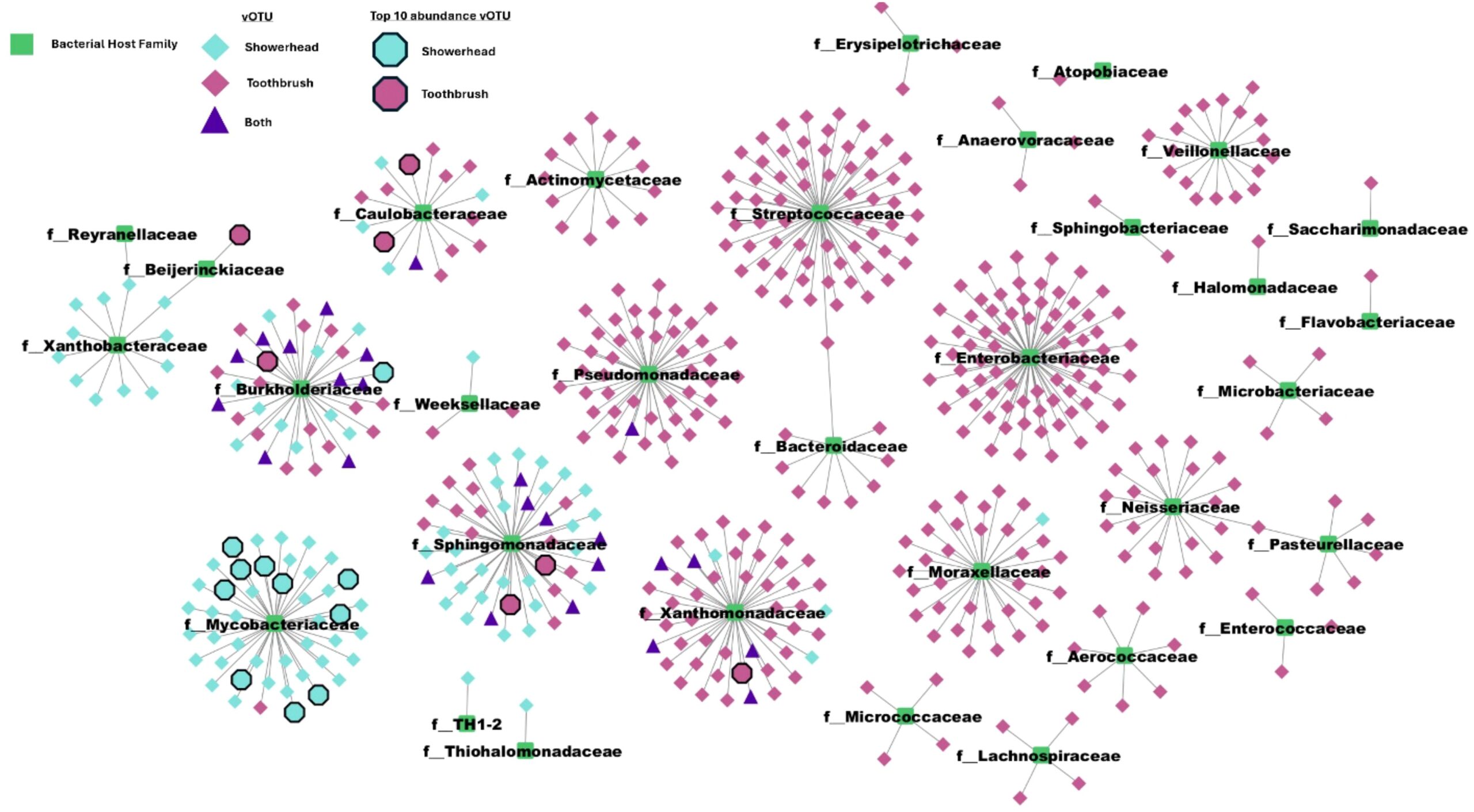 Phage-host network reveals that while most interactions are predominantly specific to a single environment (showerhead or toothbrush), Sphingomonadaceae, Burkholderiaceae, and Caulobacteraceae are identified in common. Center nodes are bacterial taxa from GTDB plus the MAGs recovered from our metagenomes collapsed to family level.