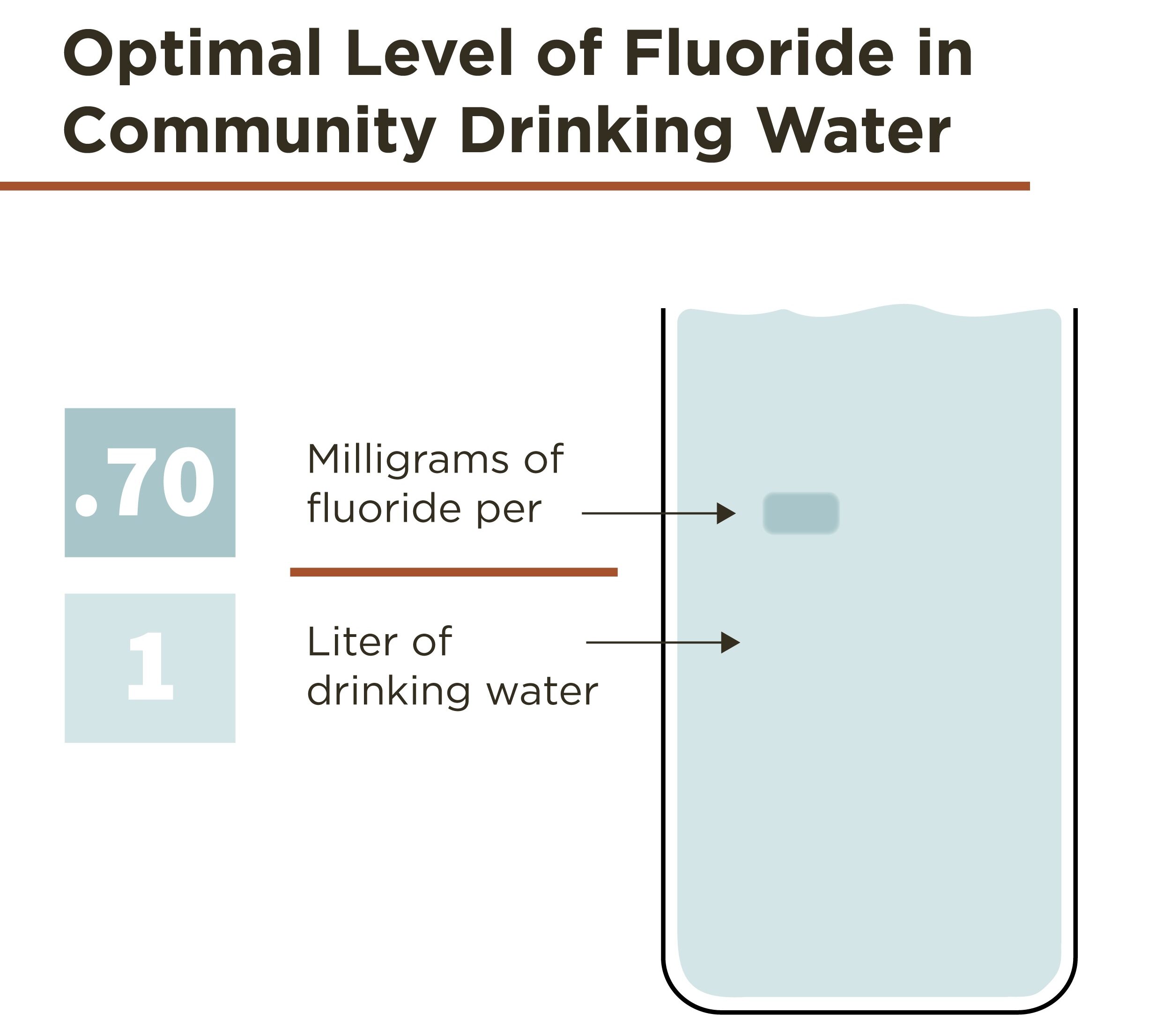 Researchers found that individuals in regions with optimal fluoride levels in drinking water (0.7–1.2 mg/L) had a 10% higher bone mineral density compared to those in non-fluoridated areas