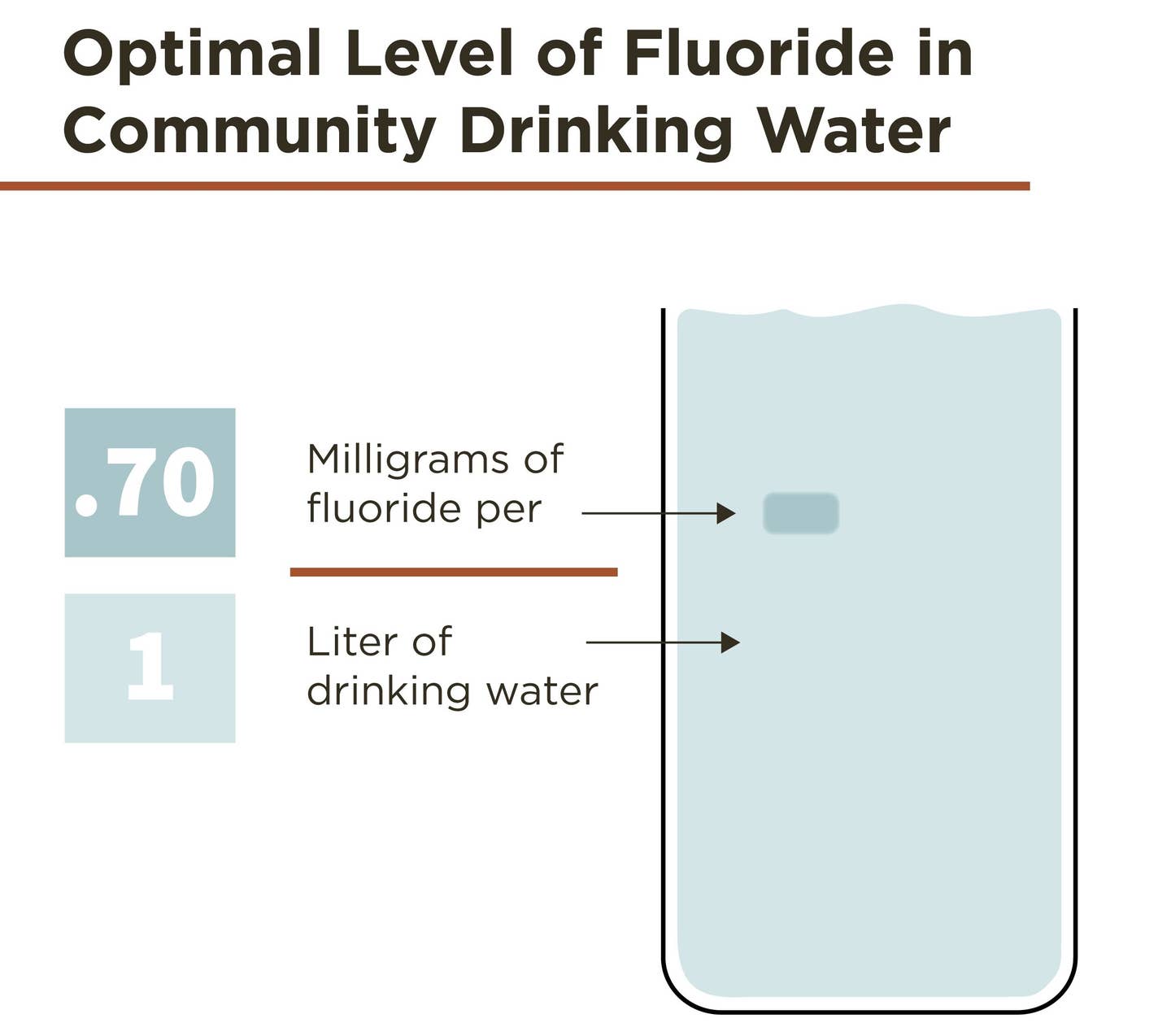 Researchers found that individuals in regions with optimal fluoride levels in drinking water (0.7–1.2 mg/L) had a 10% higher bone mineral density compared to those in non-fluoridated areas