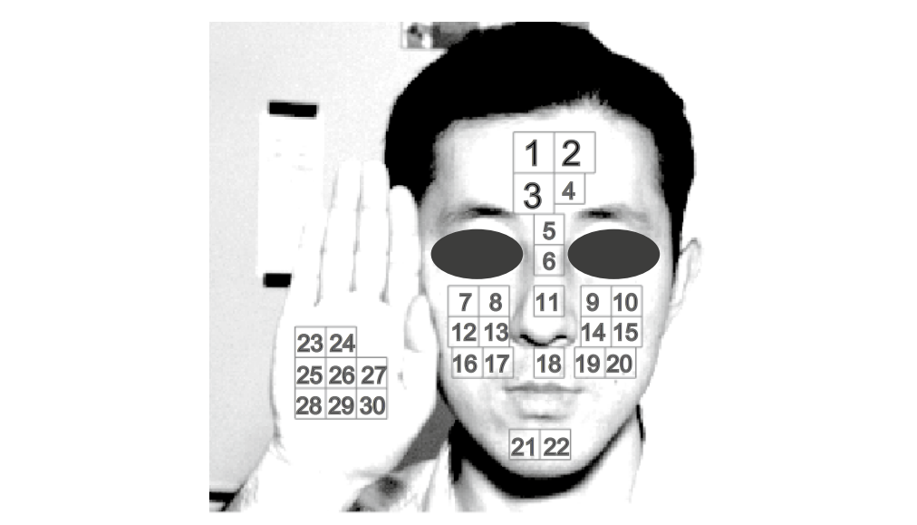 Data acquisition and spectral reflectance analysis. The average spectral reflectance was obtained from 22 regions of interest (ROIs) on the face and 8 ROIs on the palm. ROIs were selected to exclude areas with hair, eyebrows, and shadows, to avoid the inclusion of unclear signals.