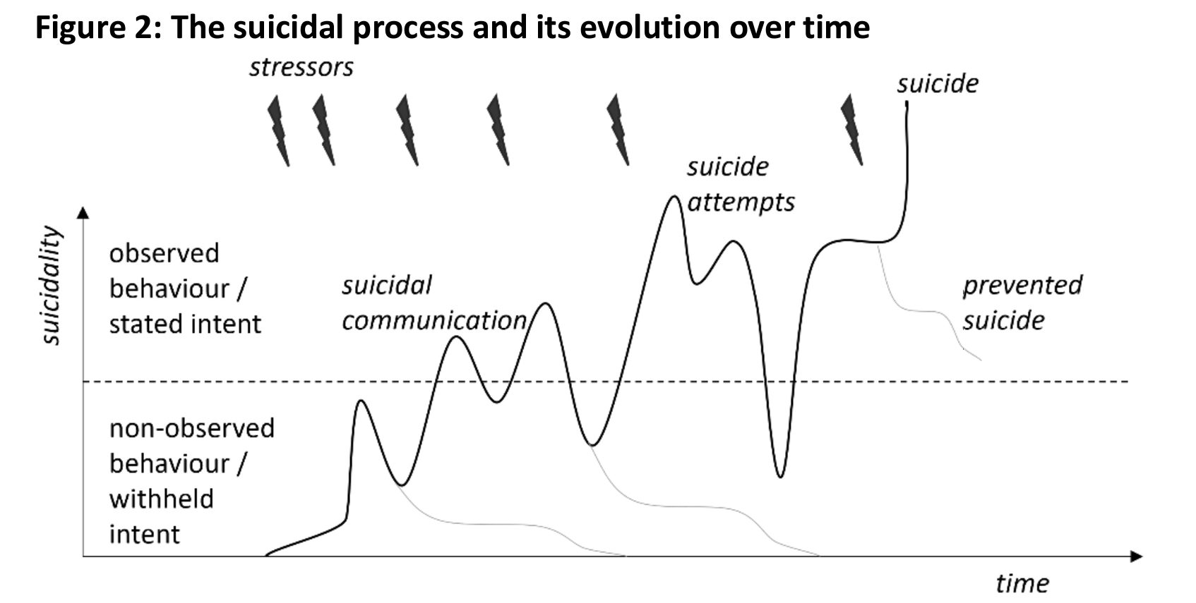 Illustration of some possible trajectories of the suicidal process.