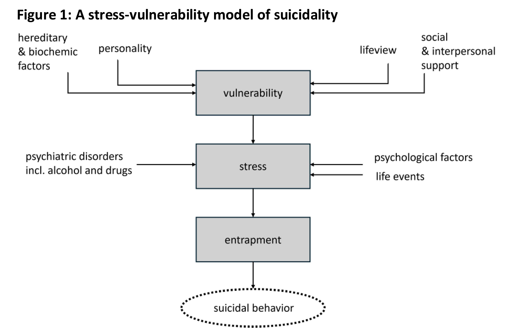 Model as proposed in the Dutch Multidisciplinary Guideline on Diagnosis and Treatment of Suicidal Behavior.