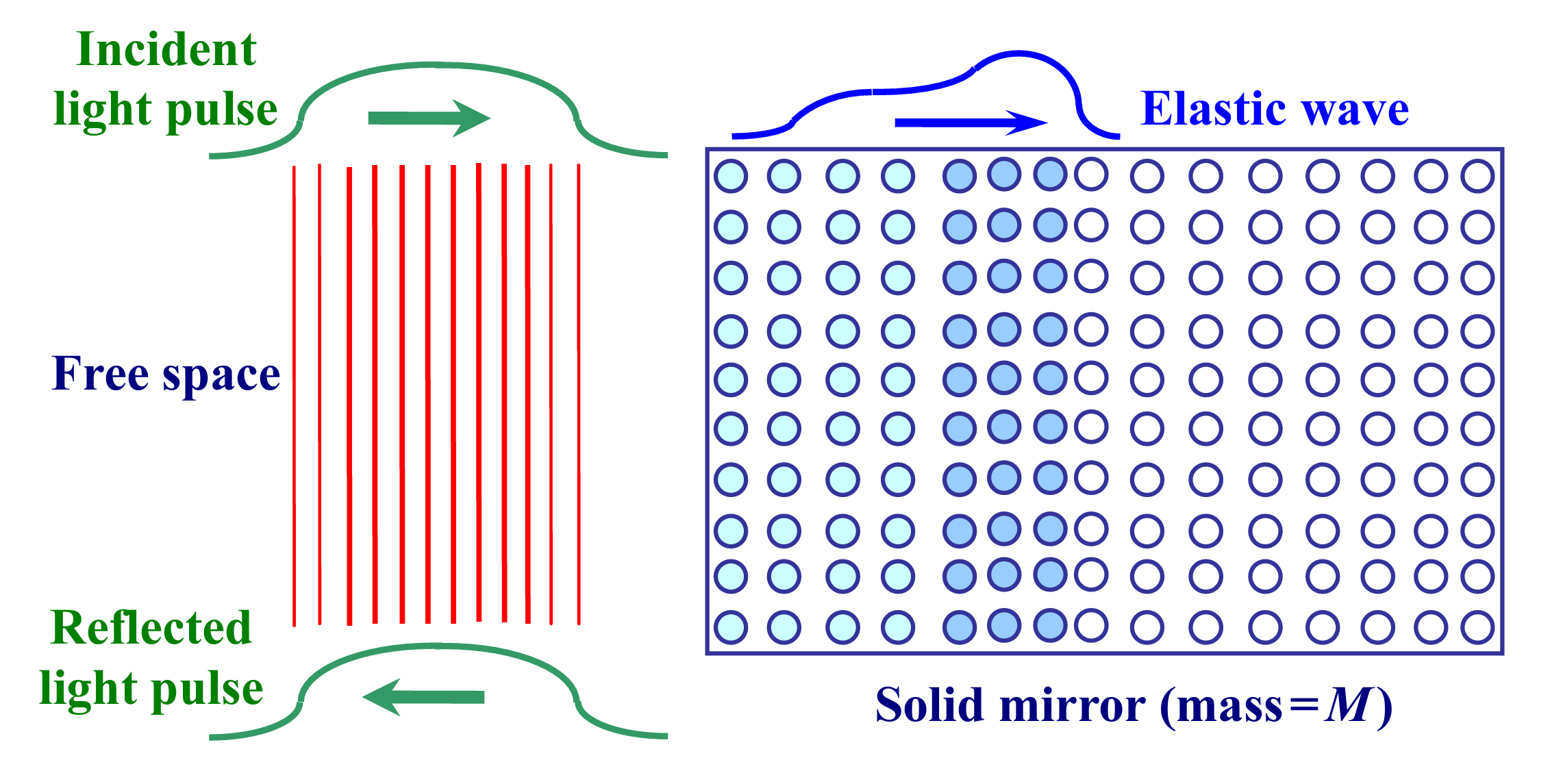The Abraham-Minkowski controversy dates back to the early years of the 20th Century, when Hermann Minkowski’s electromagnetic theory indicated that a light pulse of energy Epulse within a dielectric medium of refractive index n would have a momentum of nEpulse/c (c being the speed of light in vacuum) whereas Max Abraham’s theory gave a value of Epulse/(nc) for the same momentum.