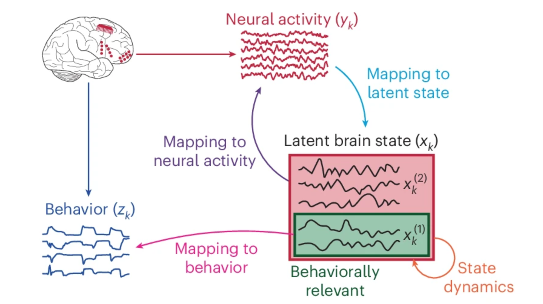 DPAD decomposes the neural–behavioral transformation into four interpretable mapping elements.