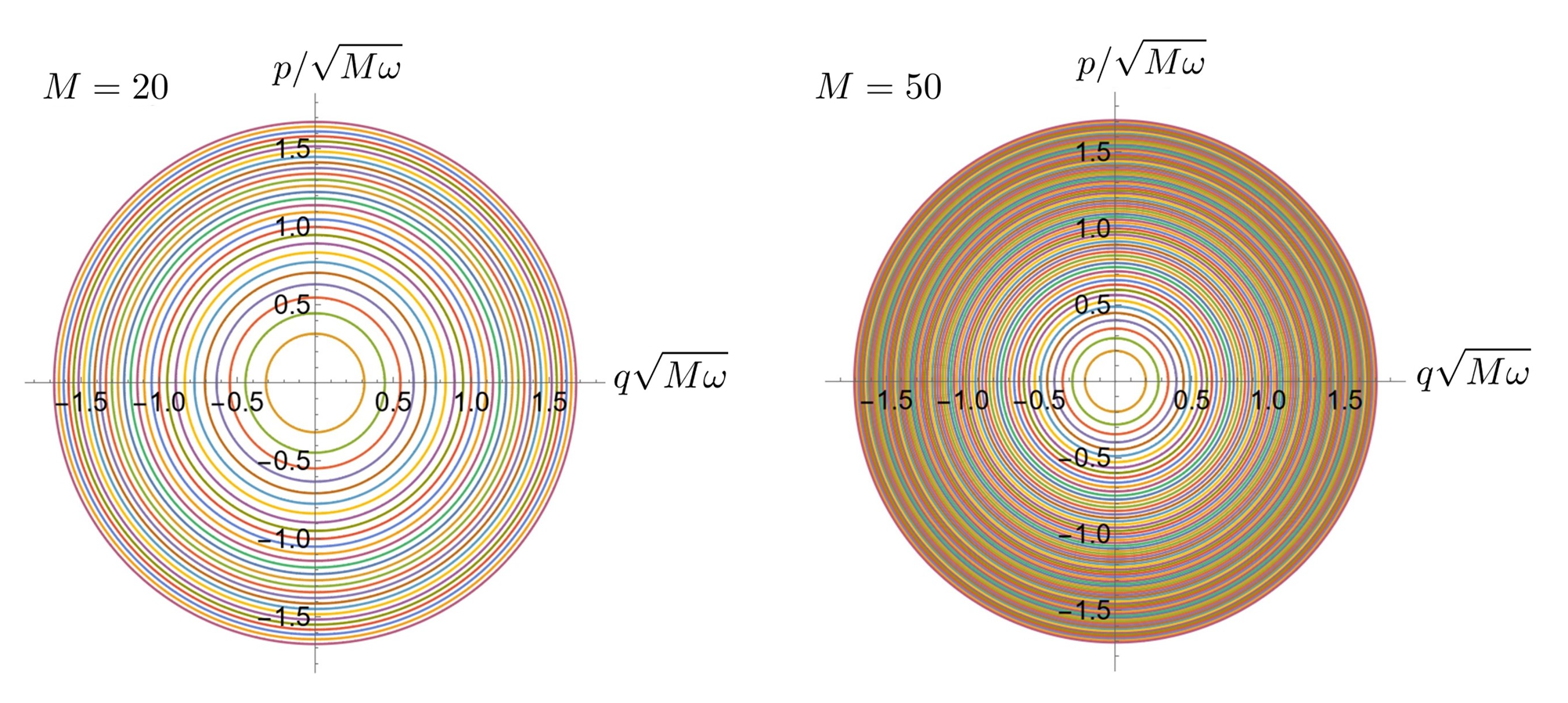 The evolving system phase-space with the admitted orbits when cm= 0∀mandκ = 3/4, r = 2/3forM = 20 (on the left) or M =50 (on the right). 