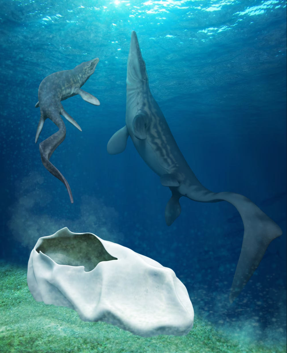 An artist’s rendering of a pair of mosasaurs and their egg. 