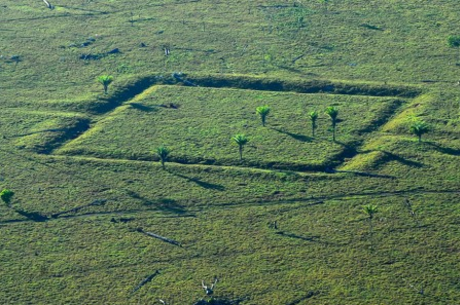 Geoglyph found on a farm in Acre state.