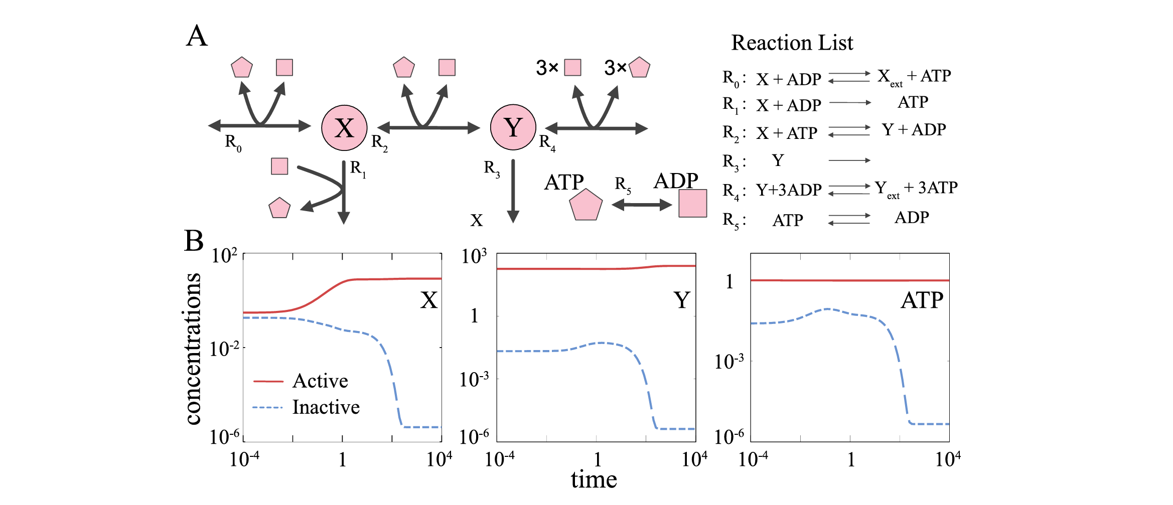 A schematic of the reaction network. The list of the reactions is shown on the right side of the diagram. (B) An example of dynamics of metabolites X, Y, and ATP converging to the active (red), and inactive attractors (blue), respectively.