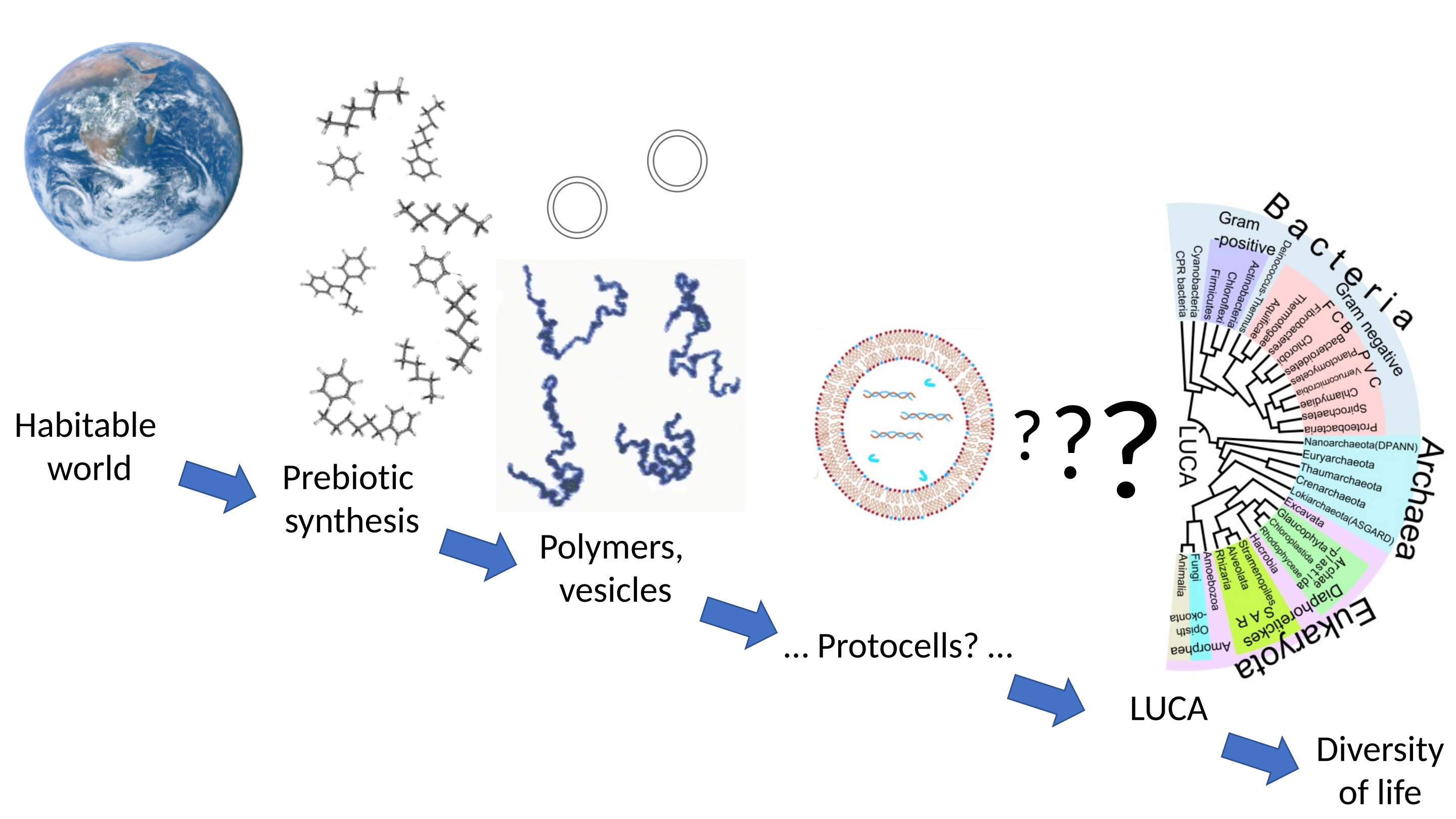 Origin of life stages, showing the large gap between what can reasonably be inferred and what is not yet understood.