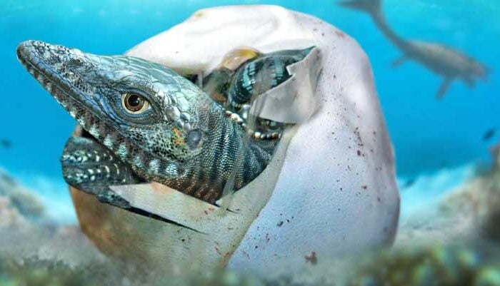 Groundbreaking Fossil Discovery in Antarctica Challenges Current Understanding of Marine Reptiles