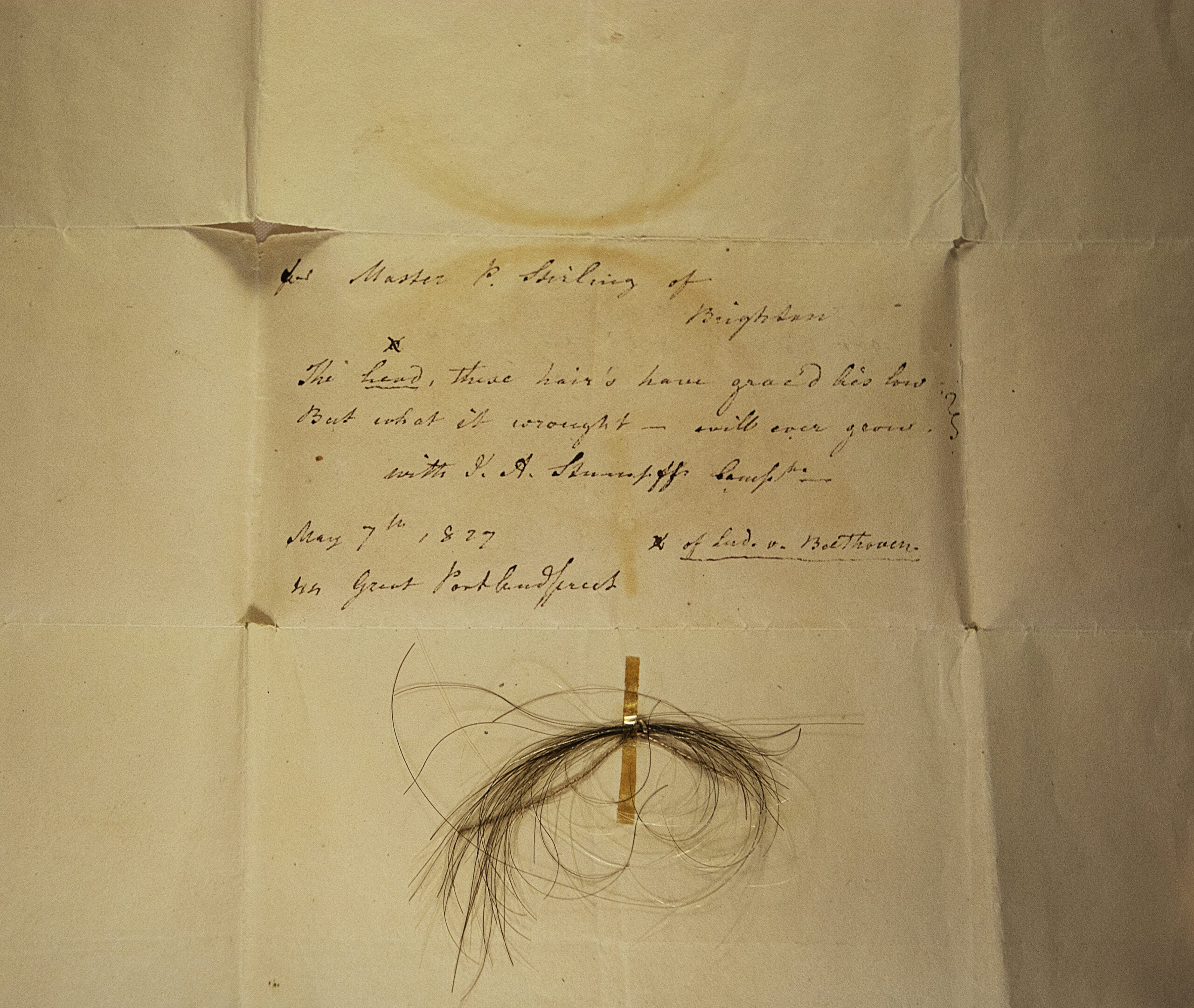 The Stumpff Lock from which Beethoven’s high-coverage genome was sequenced. The lock is affixed to a letter from Johann Andreas Stumpff to Patrick Stirling, dated May 7, 1827.