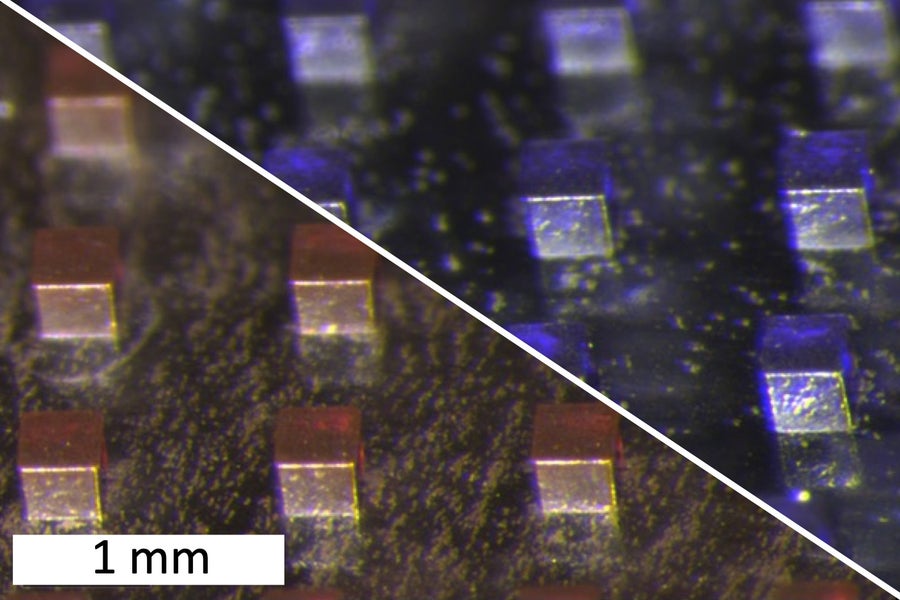 MIT researchers have designed microparticles that can deliver phototherapy to tumors, along with chemotherapy drugs. At bottom left are particles that carry the drug doxorubicin, and at top right are particles carrying violacein. 