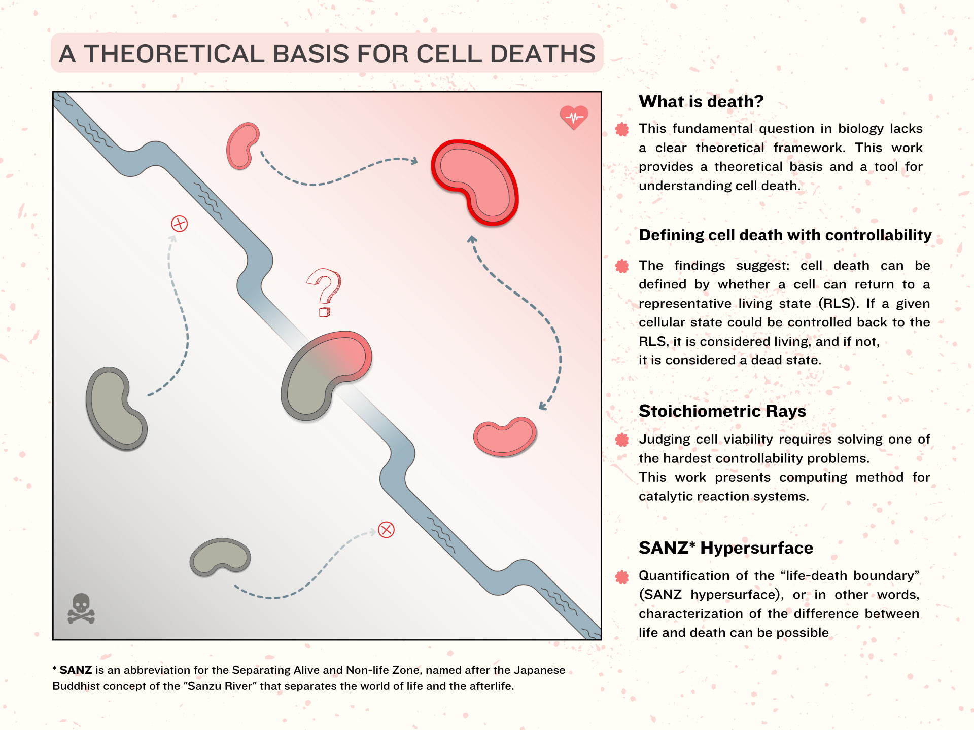 A theoretical basis for cell deaths. An overview of the researchers’ ideas.
