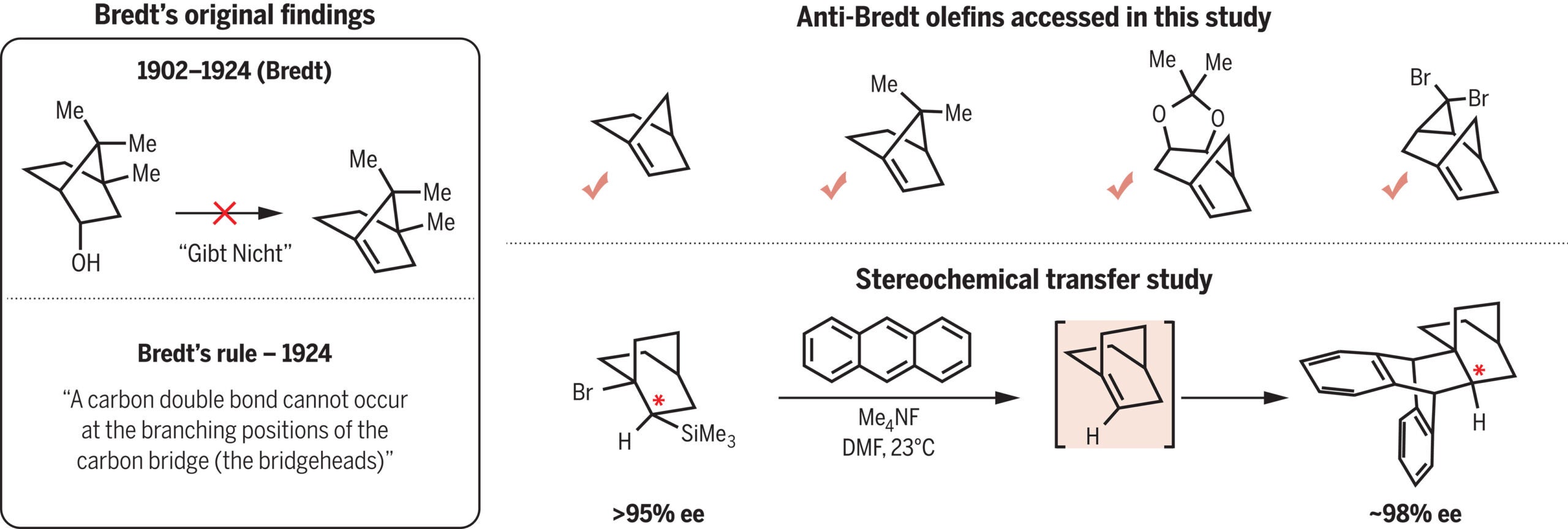 Bredt’s rule (1924) and anti-Bredt olefins generated in this study. Summary of Bredt’s original findings from the early 1900s and the establishment of Bredt’s rule (left). 
