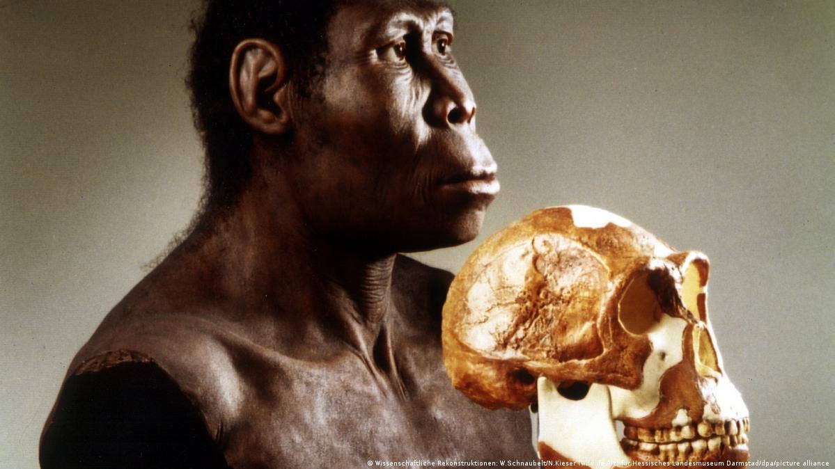 Fossils from Turkey, including Anadoluvius turkae, suggest hominines may have evolved in Europe before migrating to Africa Fossils from Turkey, including Anadoluvius turkae, suggest hominines may have evolved in Europe before migrating to Africa, (CREDIT: CC BY-SA 4.0)