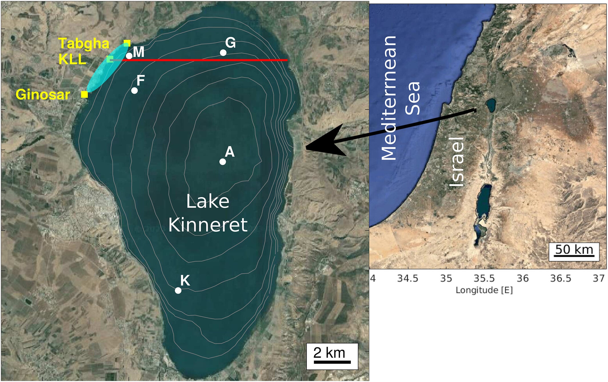 Bathymetric map of Lake Kinneret at 5 m depth intervals (gray thin lines), showing: locations of Ginosar, Kinneret Limnological Laboratory (KLL), and Tabgha marked by yellow squares; area where dead fish were observed during the foot surveys, marked by the cyan ellipse