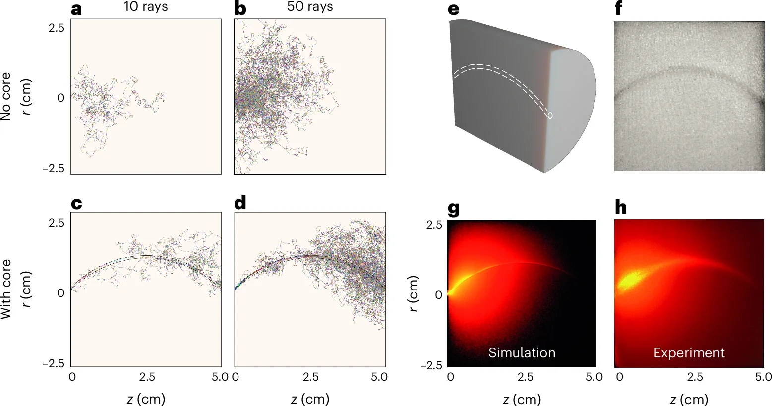 Photon density modes in bent waveguides. Numerical simulations (Methods) of photon paths in a solid (no core) resin cylinder. 