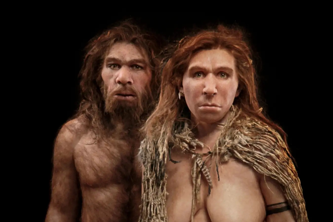 New DNA evidence finds that Neanderthals didn't go extinct - The Brighter  Side of News