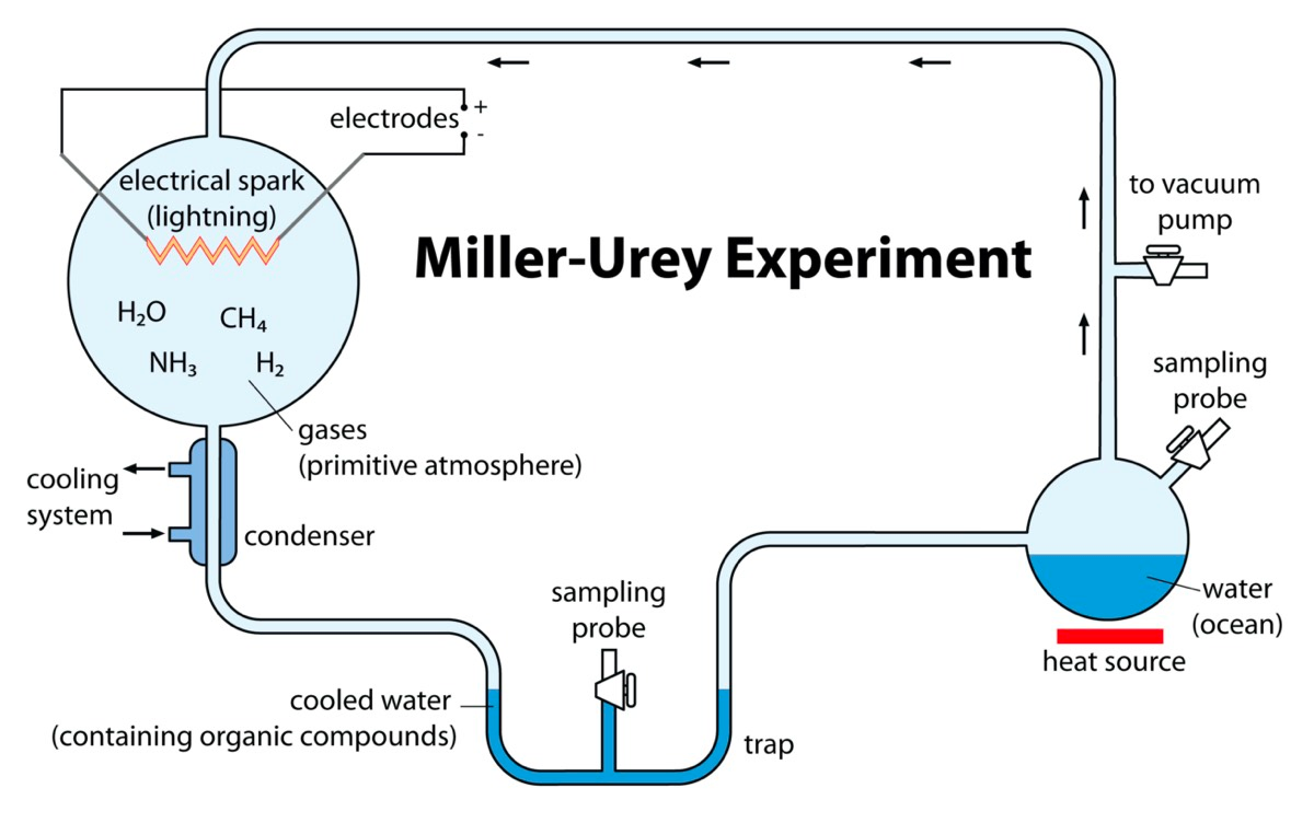 Diagram of the 1952 Miller-Urey experiment.