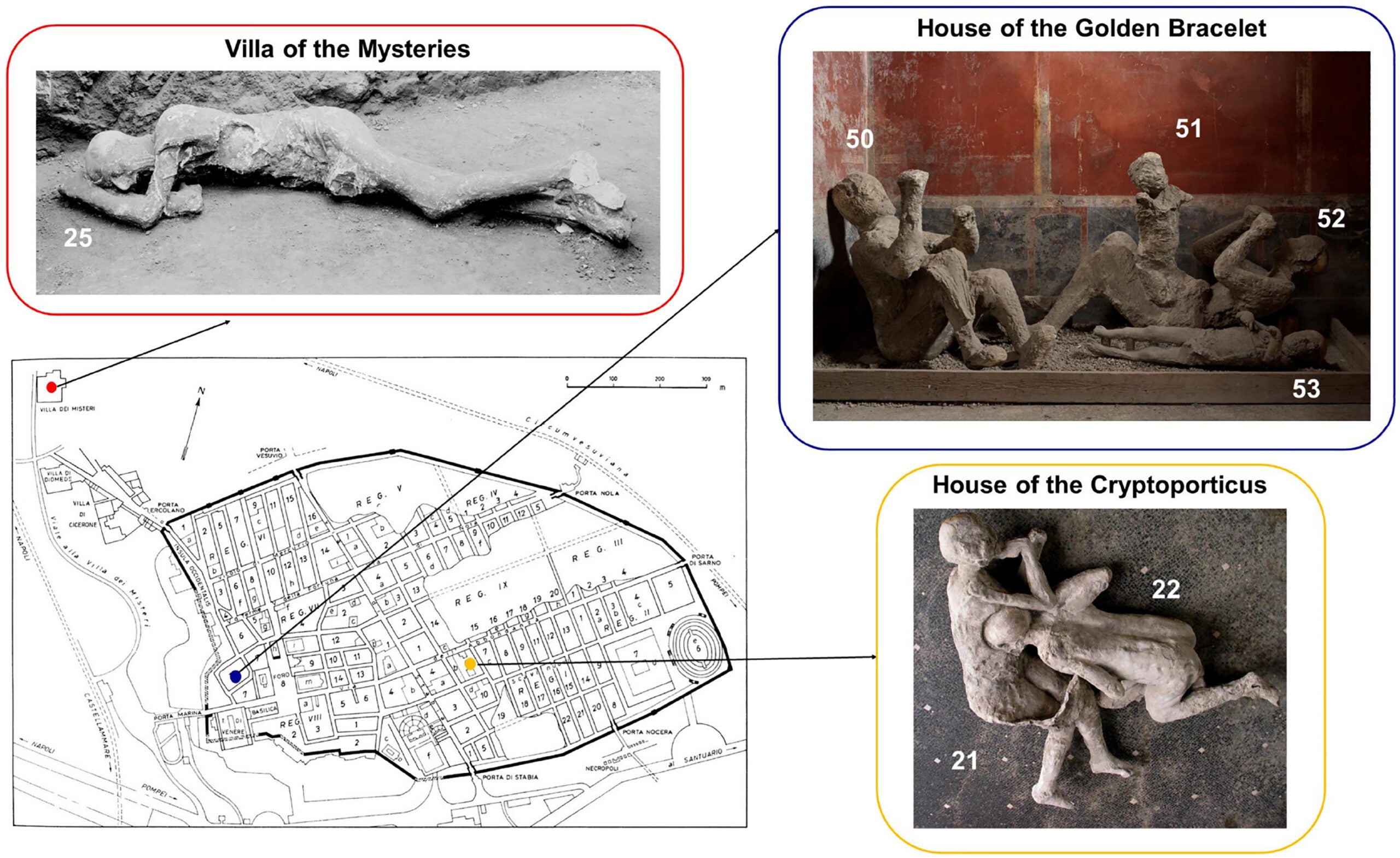 Pompeii plaster casts and their original locations in Pompeii

Plaster casts of individuals from whom analyzable ancient DNA was recovered and original map of Pompeii. Scale in meters shown for the map.