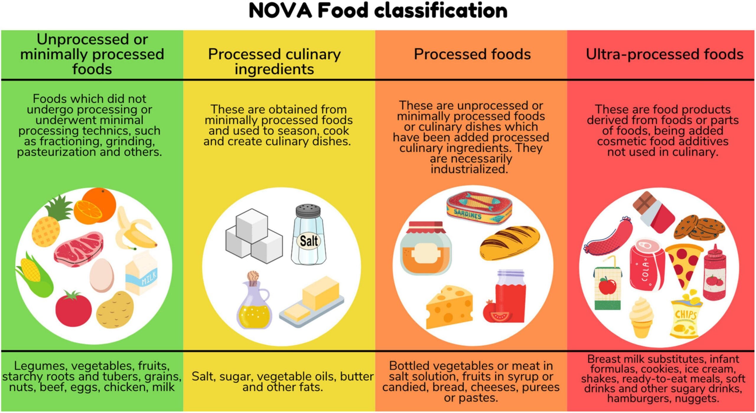 The NOVA Food Classification system. 