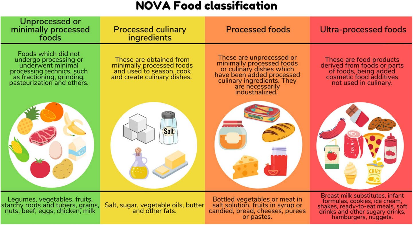 The NOVA Food Classification system.