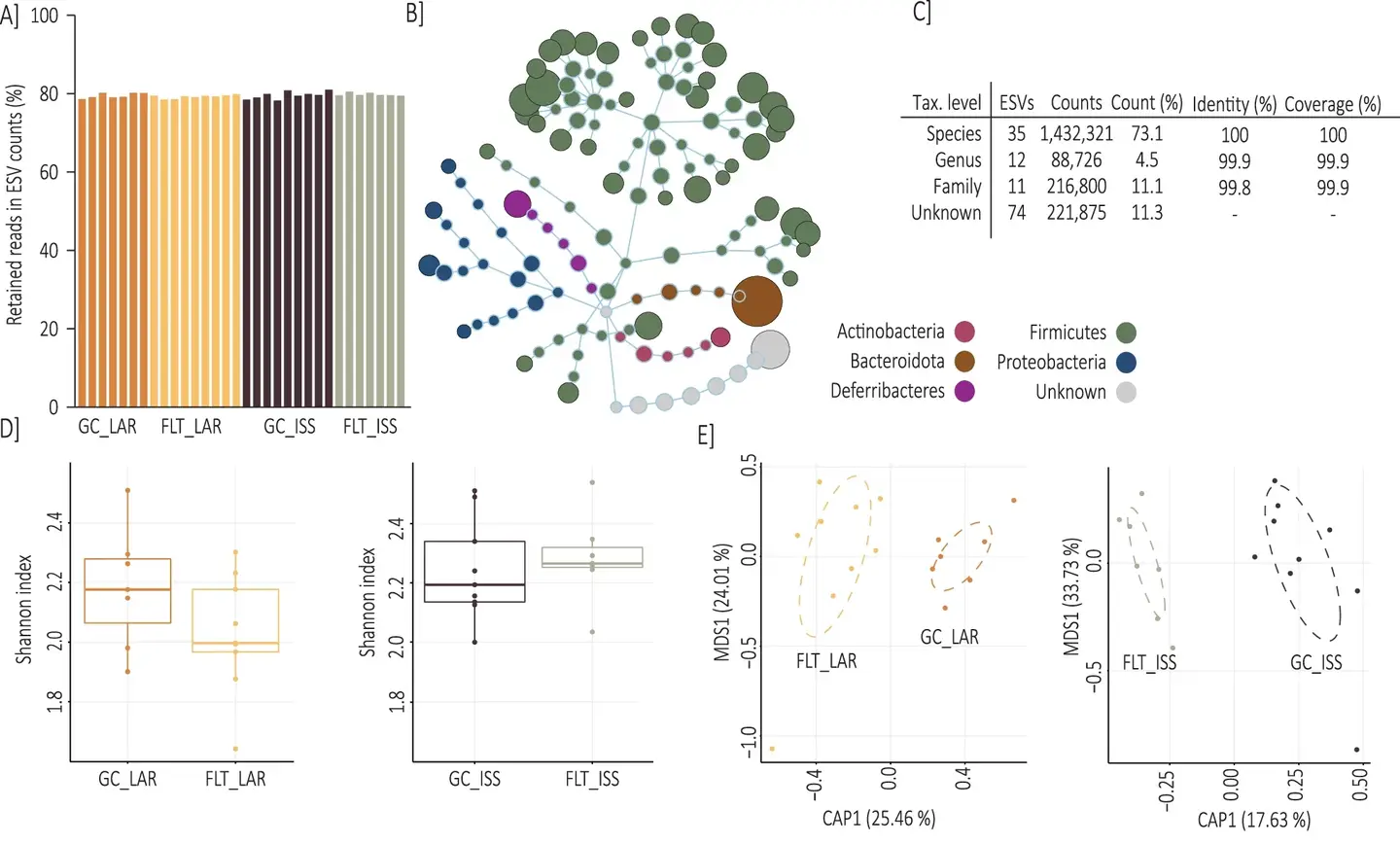Ground control, live animal return and ISS murine gut microbiome capture.