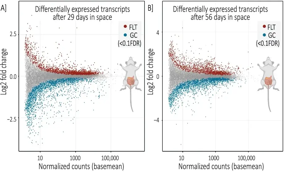 Microbiome-host interface: spaceflight alters colon gene expression.