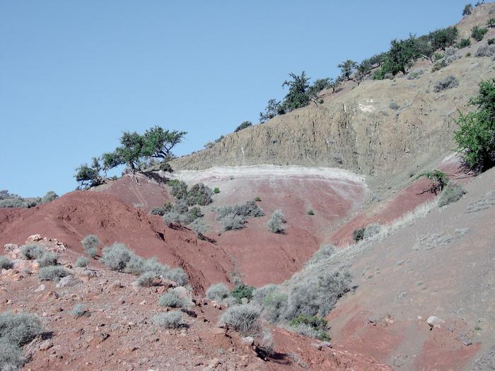 Deposits in Morocco associated with the Triassic-Jurassic mass extinction, 201.6 million years ago. Red sediments in many locations around the world contain Triassic-era fossils. The white band on top of them is where the sediments were altered by massive volcanism, as evidenced by the gray/black basalt layers topping the assemblage.
