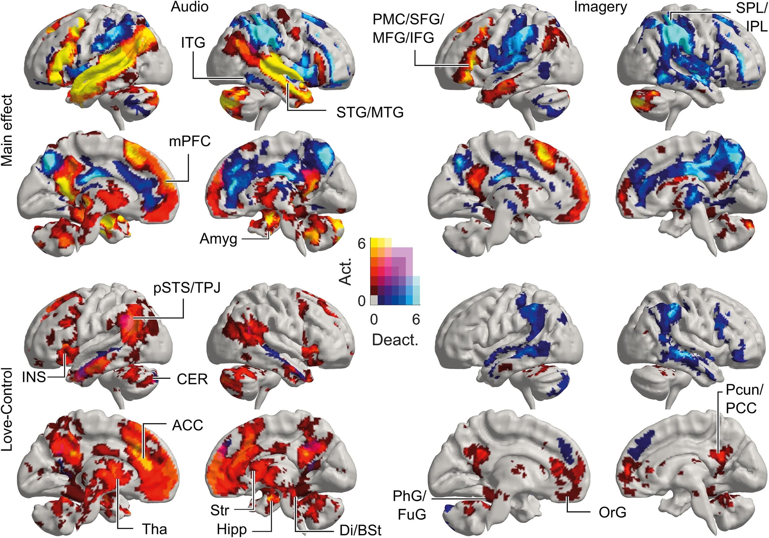 Number of overlapping categories of love as activating and deactivating brain regions. “Main effect” depicts the overlap of love categories as contrasted against BOLD-signal baseline, whereas “love-control” shows the overlap when contrasted against the neutral control condition