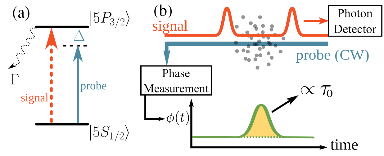 Schematics of experimental setup. (a) Atomic level scheme. (b) Conceptual diagram of the experimental apparatus: a resonant pulsed beam (signal) and off-resonant continuous-wave beam (probe) counter-propagate through a cloud of cold 85Rb atoms, detected at opposite sides of the apparatus.