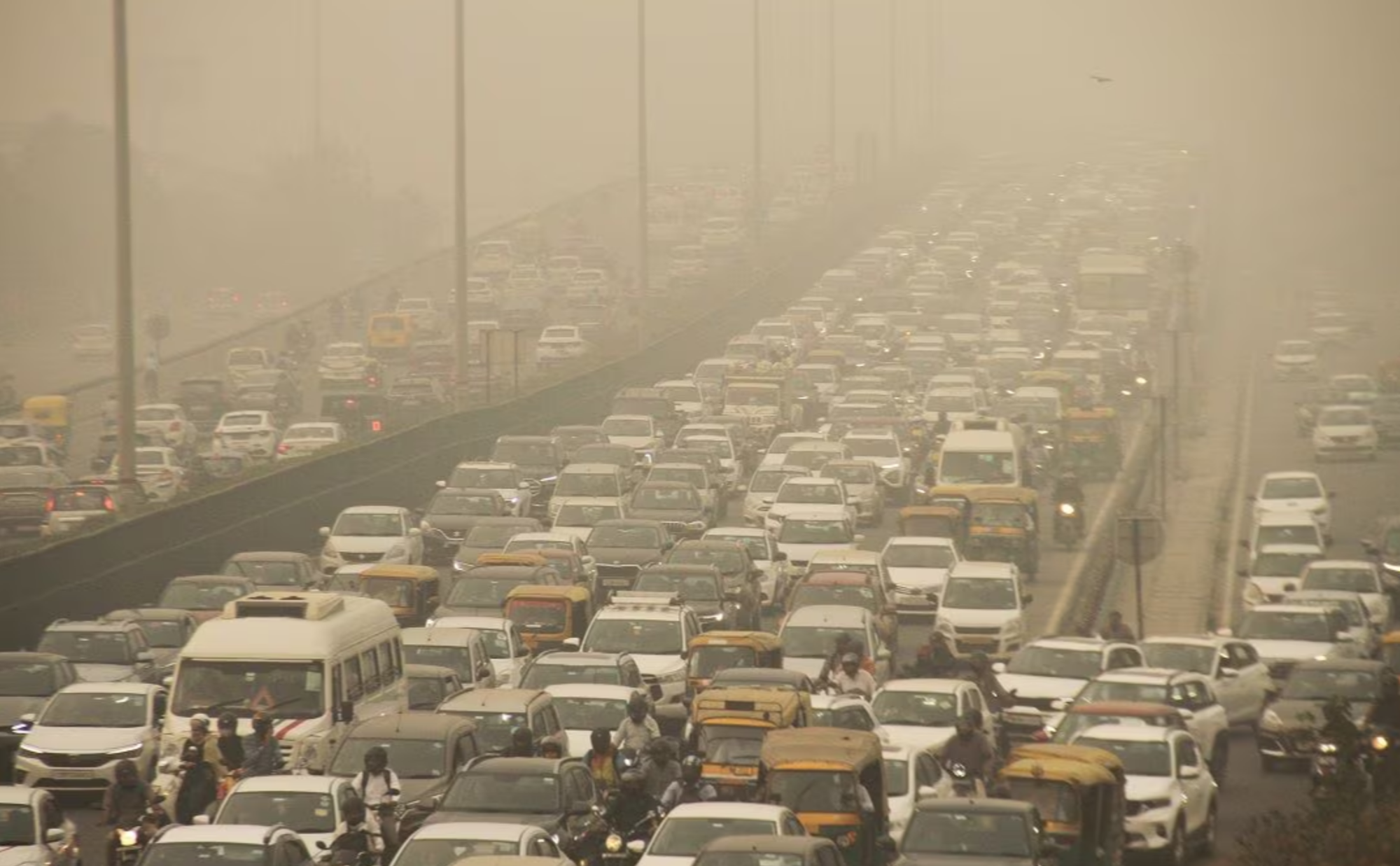 Study reveals air pollution plays a major role in cognitive decline